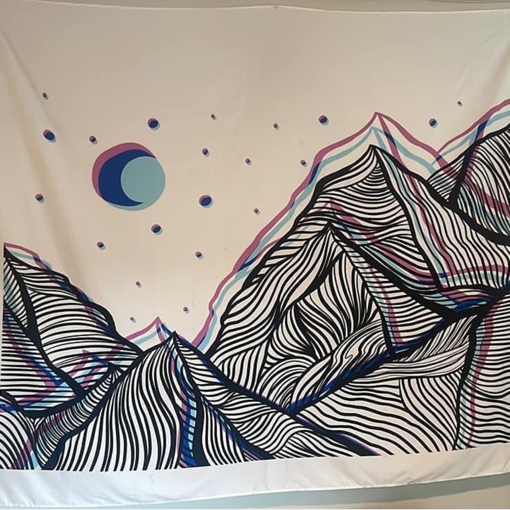 Tapestries - Picture 2 of 3
